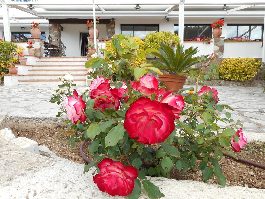 Hotel La Quietude Les Issambres Ngoại thất bức ảnh