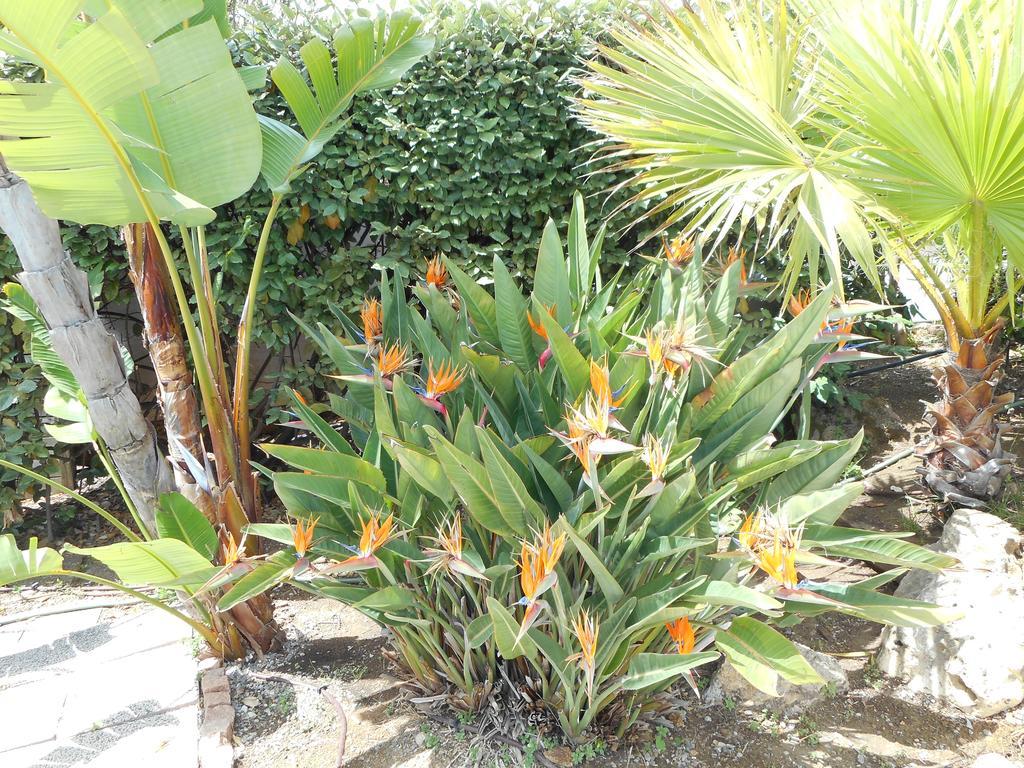 Hotel La Quietude Les Issambres Ngoại thất bức ảnh